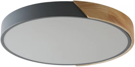 Потолочный светильник круглый Zortes Alberro ZRS.01280.72 (LED, 220V, круглые)