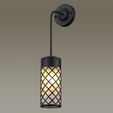 Настенный светильник уличный Odeon Light Dunes 4834/1W (220V, IP44)