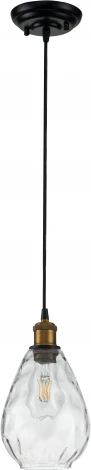 Подвесной светильник Piuro V000293 (11027/1P Clear) (220V, на проводе)