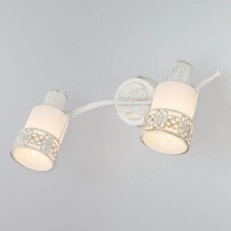 Спот на штанге Eurosvet 20025-20026 20025/2 белый с золотом (220V, круглые)