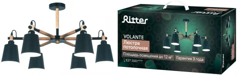 Потолочная люстра на штанге Ritter Volante 52448 9