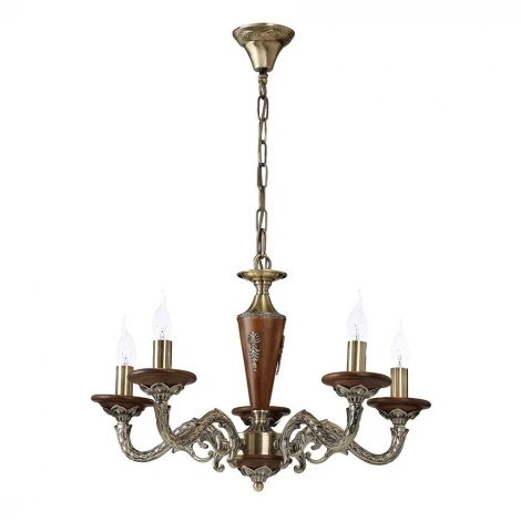 Подвесная люстра Arte Lamp Verdi A5603LM-5AB