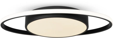 Потолочная люстра Freya Cosmic FR10015CL-L62B