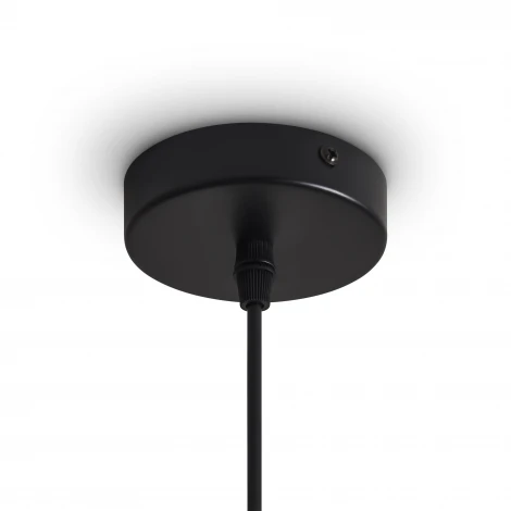 Подвесной светильник Freya Topi FR5503PL-01B1