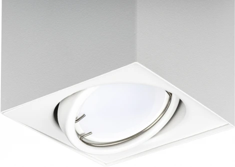 Накладной светильник Ritter Arton 51409 1