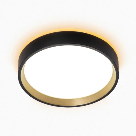 Настенно-потолочный светильник с подсветкой Черный+Золото Citilux Etalon CL750181 (LED, 220V, круглые, IP40)