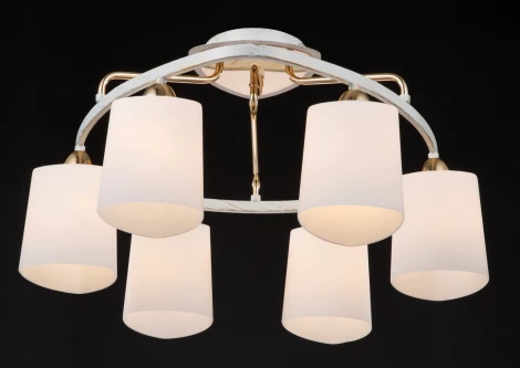 Потолочная люстра Maytoni Eurosize 6 TOC006-06-G