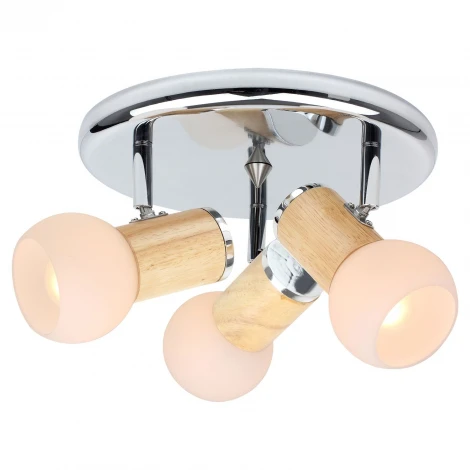 Спот Lussole Saltara LSN-6007-03