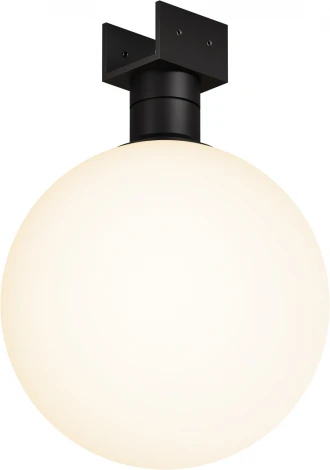 Трековый светильник 9W 48V Maytoni Luna O-TR01-1-S-9WB3K (LED, шар, IP65)