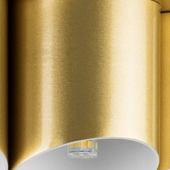 Потолочная люстра Lightstar Siena 720222 (220V, круглые)