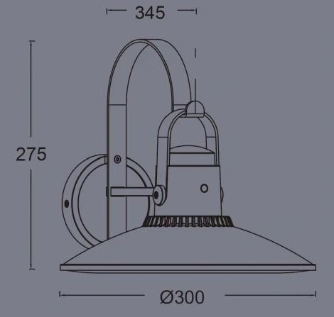 Настенный фонарь уличный Oasis Light W2746