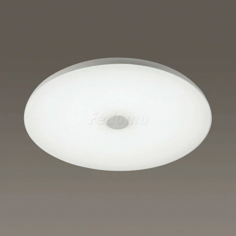 Потолочный светильник Sonex Roki Muzcolor 4629/CL