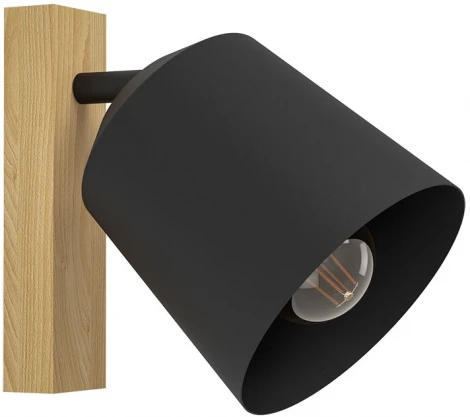 Спот Eglo COTORRO 900434