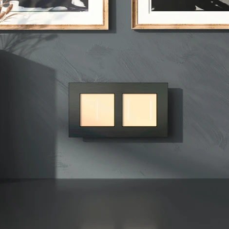 Рамка на 2 поста (черный алюминий) Werkel W0023508 (a066330)