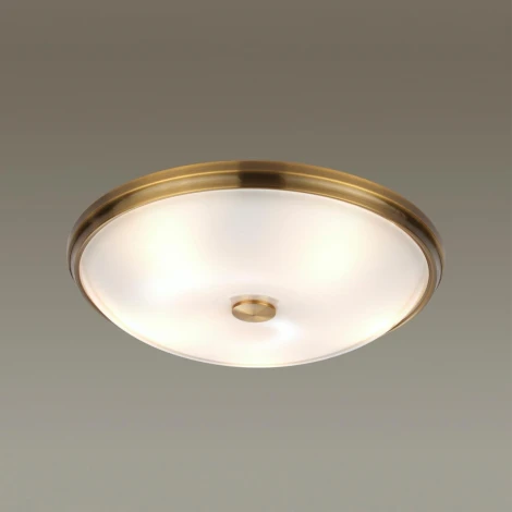 Настенно-потолочный светильник Odeon Light Pelow 4956/5 (220V, круглые)