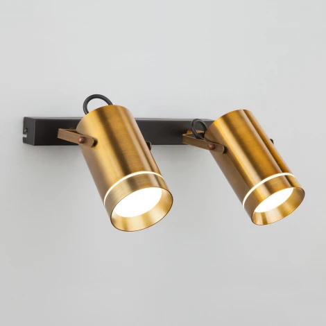 Спот Eurosvet Bronze 20063/2 античная бронза