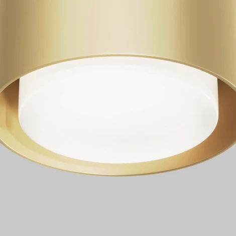 Потолочный светильник Maytoni Space C092CL-GX53-MG (220V, круглые)