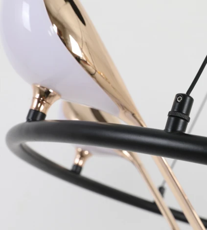 Подвесная люстра Kink Light Арси 08446-6A,33 (LED, 220V, на проводе, кольцо, птички)