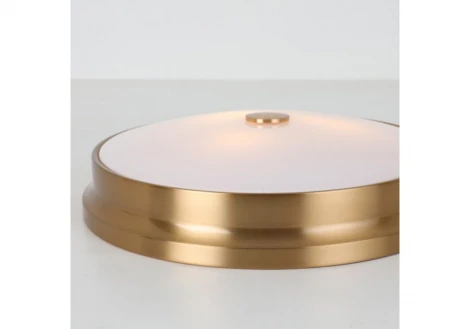 Потолочный светильник круглый Favourite Pannikin 2375-3C (220V, круглые)