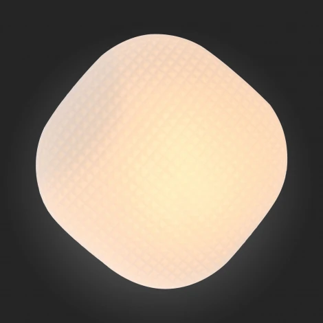 Настенно-потолочный светильник ST Luce Pone SL504.552.01