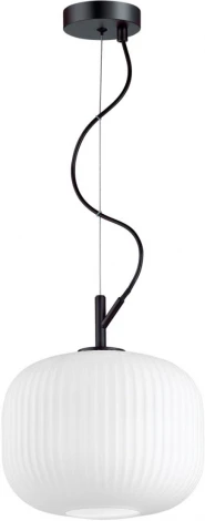 Подвесной светильник Odeon Light Roofi 4753/1 (220V, на тросе)