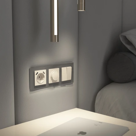 Диммер (айвори матовый) Werkel W1142062 (a062422)