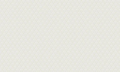 Обои виниловые Erismann Millennium 3642-2 10,05 x 1,06 м