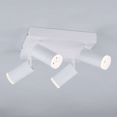 Спот Eurosvet Holly 20067/4 белый