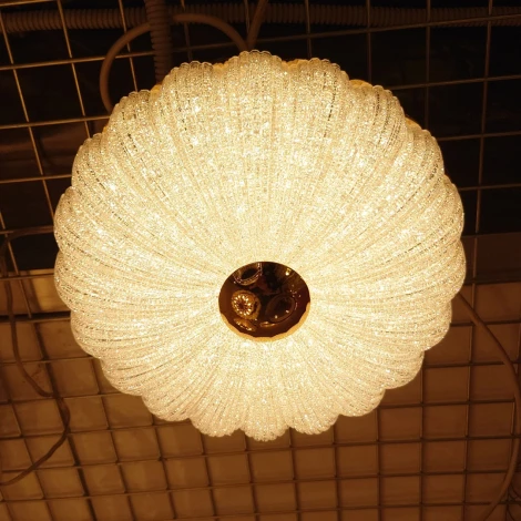 Потолочный светильник круглый светодиодный Cloyd Dessa 10371 (220V, круглые)