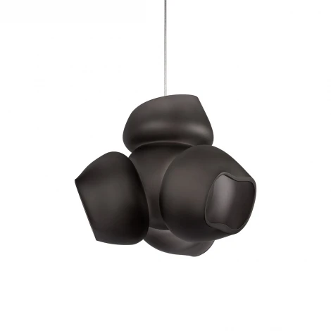 Подвесной светильник Loft It Cluster 10467P Black