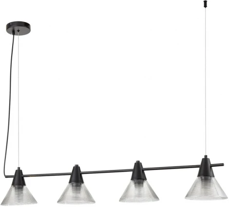 Подвесной светильник Lumion Corne 6595/4A черный/прозрачный, металл/стекло E27 4*60W 220V (на проводе)