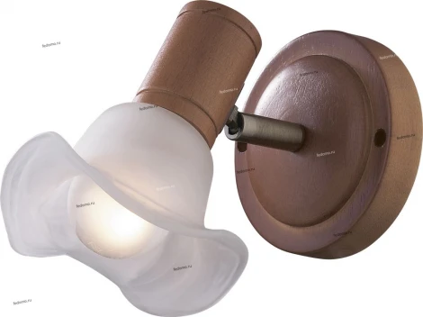 Спот Odeon Light Trum 1967/1W