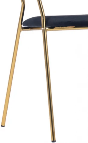 Комплект из 2-х стульев Turin чёрный с золотыми ножками Bradexhome арт.FR 0797P