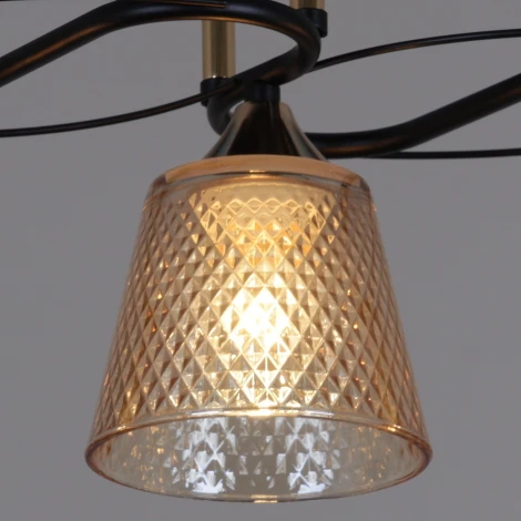 Потолочная люстра на штанге Reluce 06087-0.3-03 BK+FG (220V)