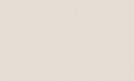 Обои виниловые Erismann Jacklin 60112-02 10,05 x 1,06 м