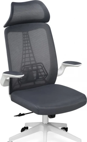 Компьютерное кресло Woodville Lokus dark gray