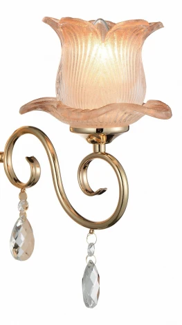 Подвесная люстра ST Luce Pianta SL668.203.08