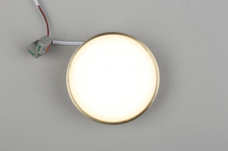 Потолочный светильник круглый Aployt Evon APL.0113.29.12 (LED, 220V, круглые)