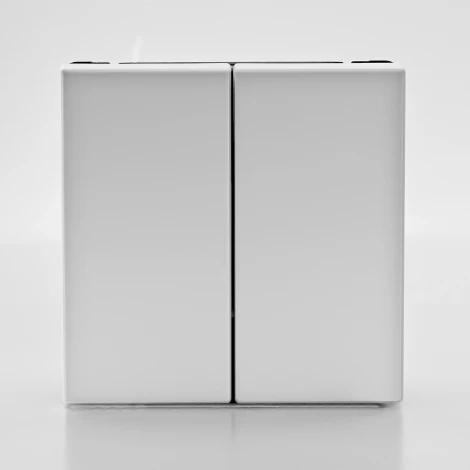 Выключатель двухклавишный (лотос) Systeme Electric GAL001317S