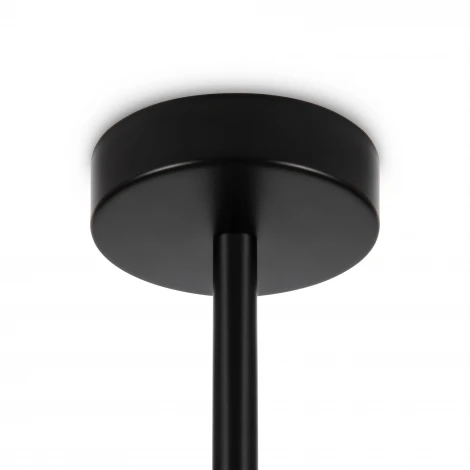 Потолочная люстра на штанге Freya Ellipse FR5320PL-04B