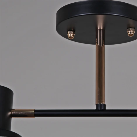 Потолочная люстра на штанге Reluce 06074-3.3-02 BK+FG (220V)