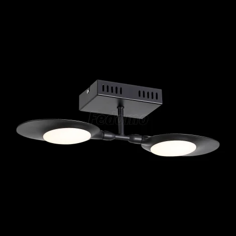 Настенно-потолочный светильник ST Luce Farfalo SL824.401.02