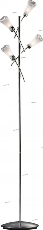 Торшер Odeon Light Coli 1804/4F