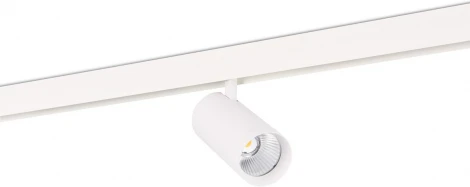 Трековый светильник магнитный 48V 30W Donolux Alpha DL20295WW30W (LED, круглые)