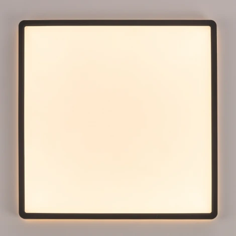 Настенно-потолочный светильник светодиодный с подсветкой Citilux Norma CL748K401 (220V, IP40)