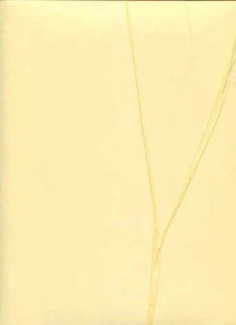 Обои виниловые Marburg Crush Noble Walls 63329 10,05 x 0,75 м