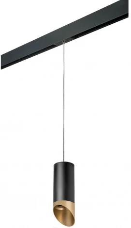 Трековый светильник однофазный 220V Lightstar Rullo PRORP6487190 (круглые)