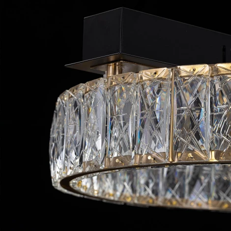 Потолочная люстра светодиодная Citilux Palant CL325142