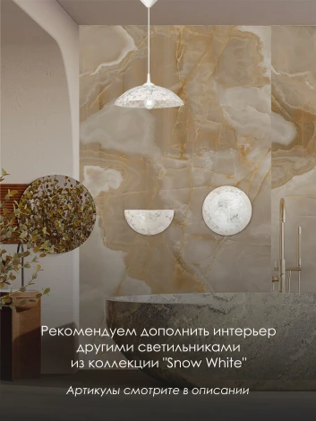 Настенный светильник Мелодия Света WA1N 000059680