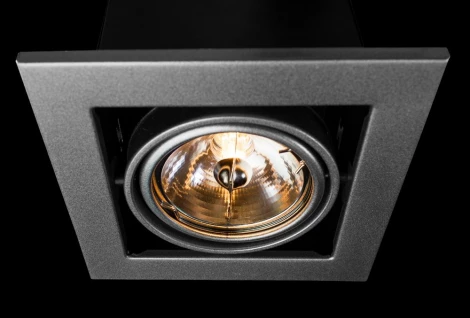 Встраиваемый точечный светильник Arte Lamp Cardani Medio A5930PL-1SI (220V)